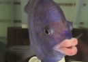 This fish&lips are real and I can&cope