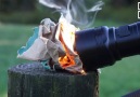 This Flashlight Is So Powerful It Can Cook An Egg