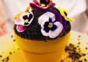 This Flower Pot Is Actually A Delicious Cake