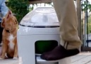This foot-powered washing machine will save you water electricity and money