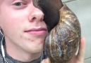 This Giant Snail Is Horrific
