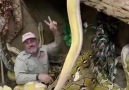 This giant snake holds world record for largest snake Video Source IG&