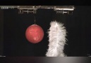 This Gravity Experiment Will Blow Your Mind!Via BBC Two