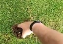 This Guy Has A Weird And Rare Talent Of Sensing Where Moles Ar...