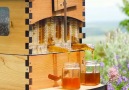 This hive makes bee-keeping and harvesting honey easy via Flow Hive
