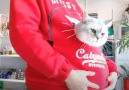 This hoodie is for you and your cat