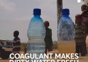 This is a life-changing solution for water purification