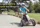 This is an electric tricycle for adults and its fantastic.