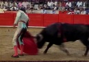 This Is Bullfighting