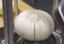 This is how blooming onions are cut perfectly.