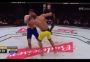 This is how Edson Barboza Jr knocked out Dariush