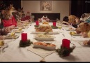 This is my kind of Christmas dinner Freshpet