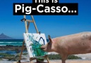 This Is Pig-Casso