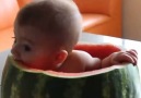 This is the cutest thing you will see today