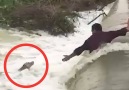 This is the most nerve-racking dog rescue!