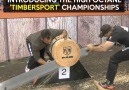 This is the 'Timbersport' Championships