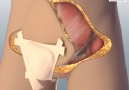This is what the first total penis transplant looked like