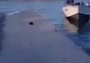 This Is Why You Tie Down Boats