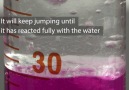 This jumping sodium is infectiously optimistic