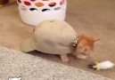) This just made my day.Try not to laugh )Like us for more&share with friends