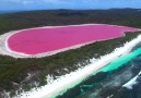 This Lake is Pink Lake Hillier Australia