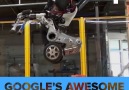This 66 100lb monster robot balances gracefully on two wheels