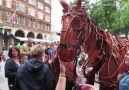 This life-size War Horse puppet is amazing!