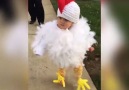 This little chicken strutting her stuff