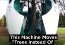 This Machine Moves Trees Instead Of Cutting Them Down