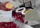 This machine peels both fruit and vegetables Pelamatic SL