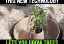 This New Technology Lets You Grow Trees In Harsh Environments