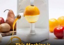 This peeling machine is so cool For YouTube users