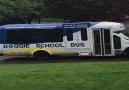 This pooch was so excited to go to his doggie school! Credit Doggie School Bus