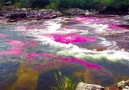 This Rainbow River is Beautiful Morten Rustad Photography