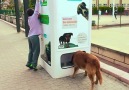 This recycling machine feeds stray animals (Y)By pugedon.com
