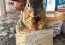 This rescue squirrel peels bananas for her mom!