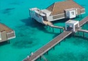 This resort in the Maldives is my idea of paradise Lifes Lost Luggage