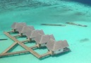 This resort in the Maldives is the ultimate getaway Lifes Lost Luggage