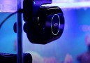 This robot cleans your fish tank for you!