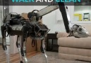 This robot giraffe can clean your house.