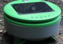 This small weeding robot will keep your garden free from weeds..