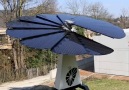 This smartflower harvests energy from the sunMore info