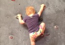 This toddler is a rock-climbing pro!