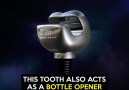 This tooth also acts as a bottle opener