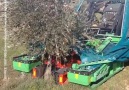 This tree-shaking machine makes life easier for farmers.