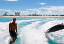 This video will make your day! Credit Wake to Wake Watersports Turks & Caicos