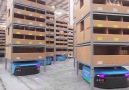 This warehouse is manned by 60 cutting-edge robots. The future is now.