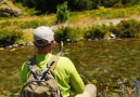 This was to be a &I see&post as I... - Jensen Fly Fishing