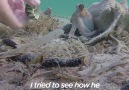 This woman is best friends with an octopus! You wont believe this...so cute!