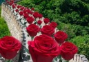 Thnh t - Bui ti chc c nh Facebook lun lun vui v...